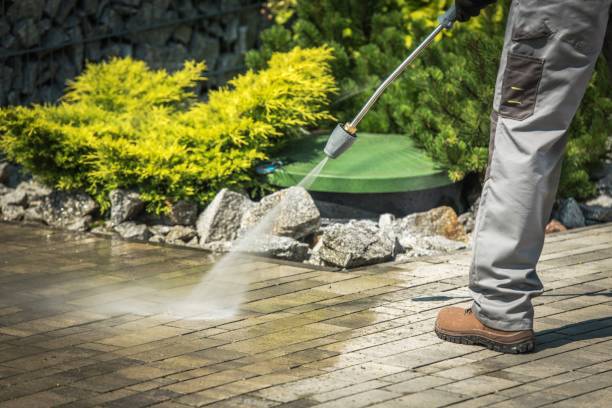 Best Fence Cleaning and Maintenance in Blakely, PA